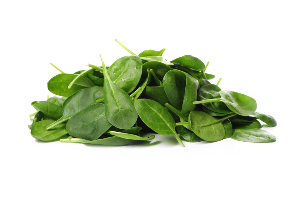 fresh spinach leaves isolated