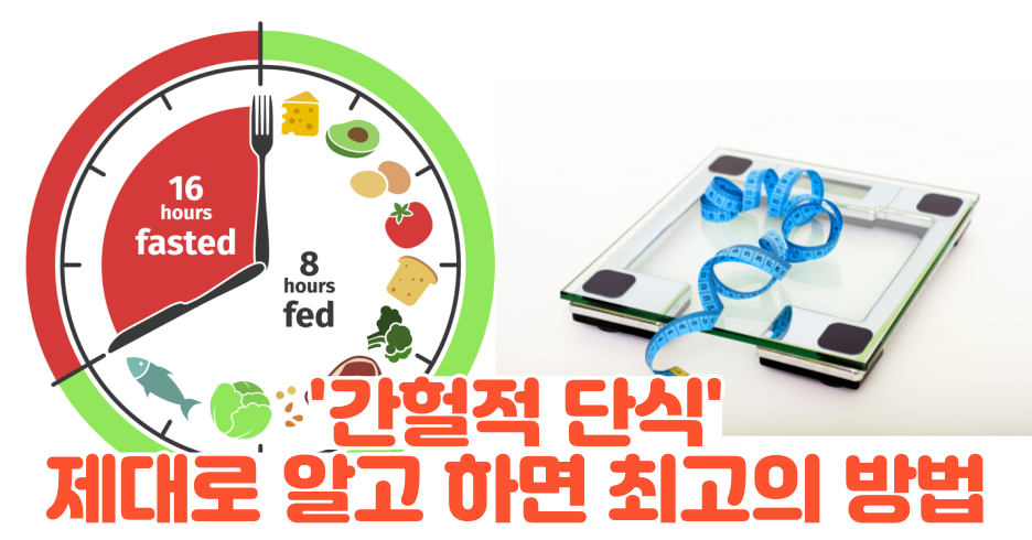 제목을 입력해주세요 001 41