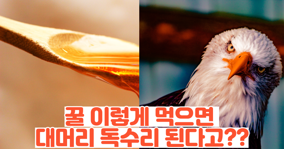 제목을 입력해주세요 001 44