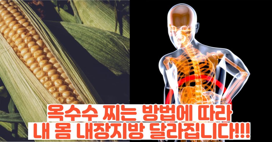 제목을 입력해주세요 001 47