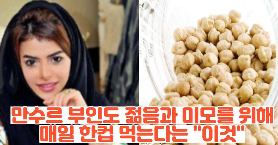 제목을 입력해주세요 001 51