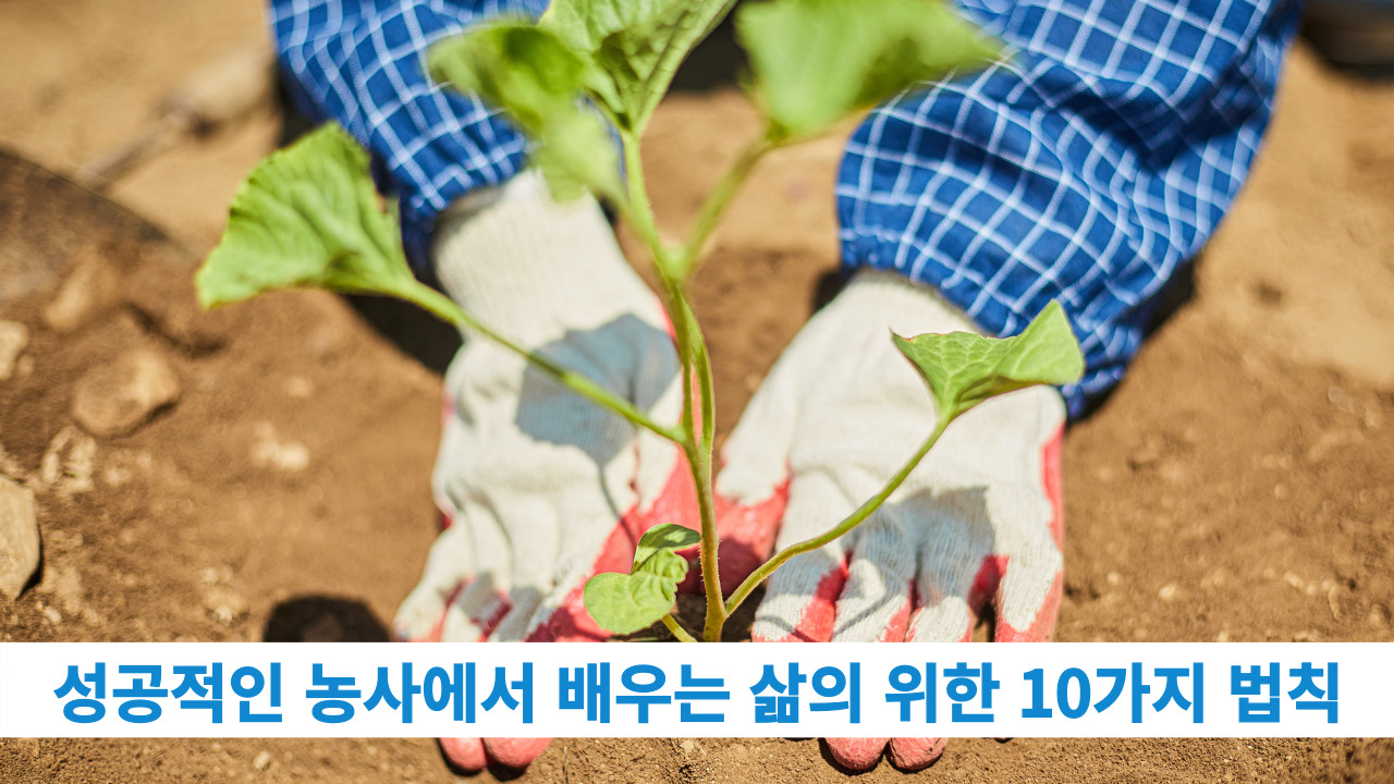 제목을 입력해주세요 001 1 1